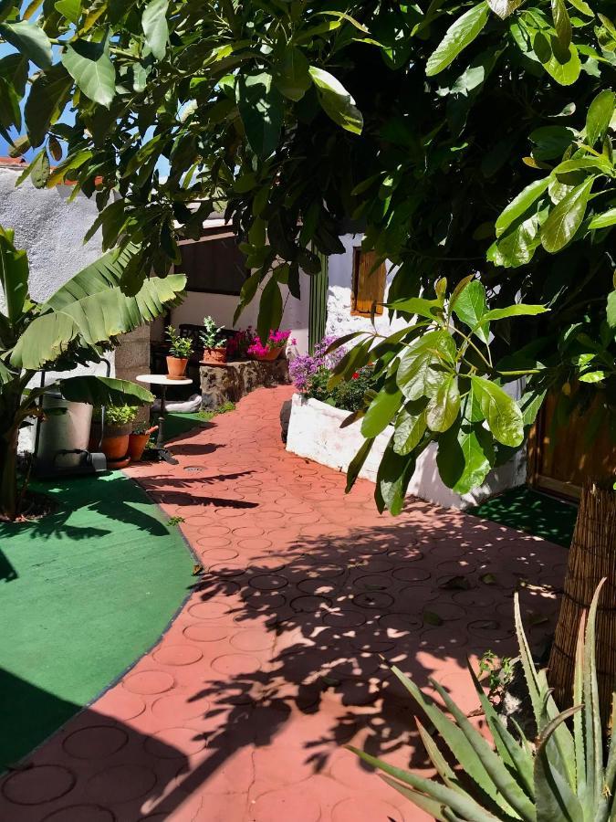 Villa Casa Madera Icod De Los Vinos Exterior foto